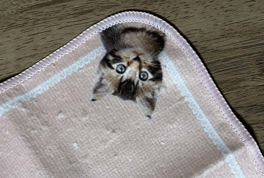 筆者撮影（セリア、ニャンカチ）