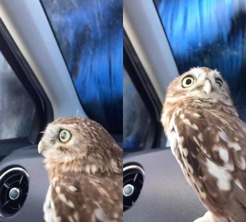 出所：@cr8673.hiro