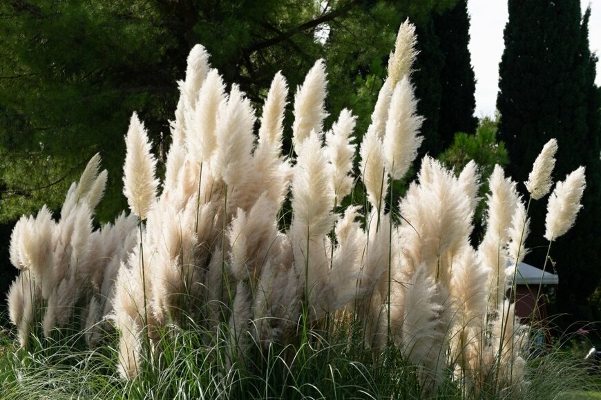 Daniel Sauer/shutterstock.com