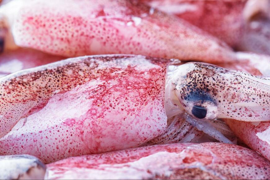 Efired/shutterstock.com