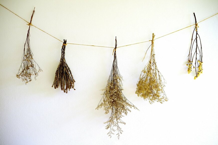 Beboopai/shutterstock.com