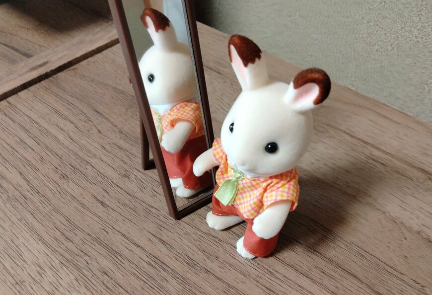 筆者撮影（セリア、ミニチュアスタンドミラー）