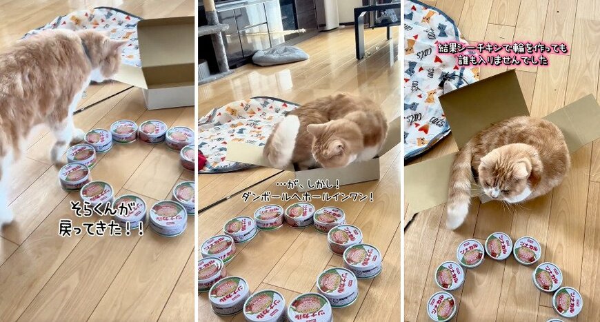 投稿の画像
