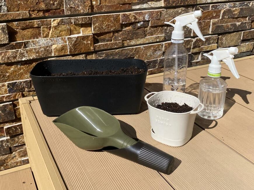 ほうれん草の種まきに初心者が挑戦