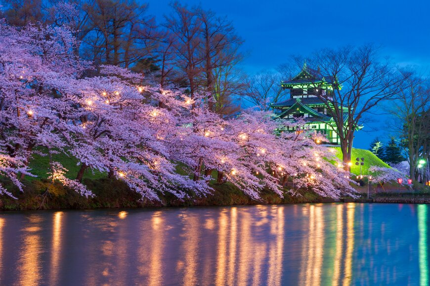 ぼんぼりに照らされた桜とライトアップされた三重櫓