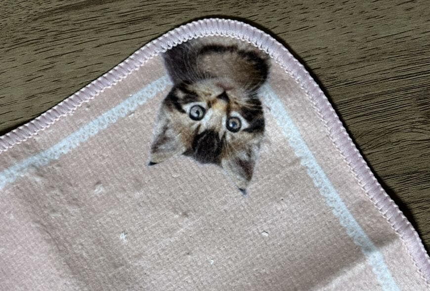 セリア、ニャンカチ