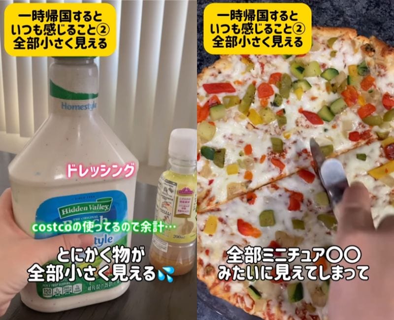 投稿動画のワンシーン