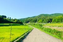 【神秘的】オニヤンマの羽化する姿　珍しい光景に「これは貴重」