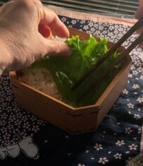 ユニークな焼き方に思わず二度見！52歳の母が子どもに作るパリッと香ばしい〈チキンステーキ弁当〉が美味しそう