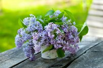 【次回6月支給分から年金増える】厚生年金・国民年金「みんなホントはいくらもらっている？」