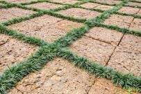 【隙間に植える常緑グランドカバー】狭い場所の雑草対策に《植えっぱなしOK＆管理が簡単な》多年草4選
