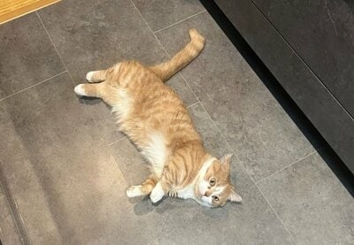 引き続き「落ちてる」様子の虎太郎くん