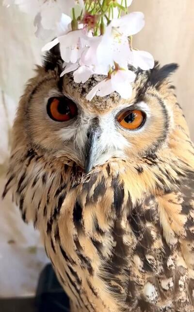 投稿動画のワンシーン