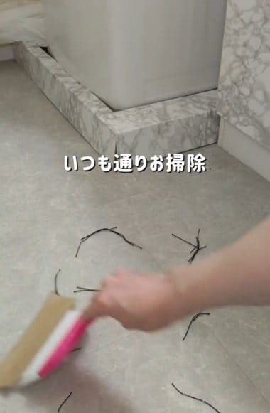 投稿の画像