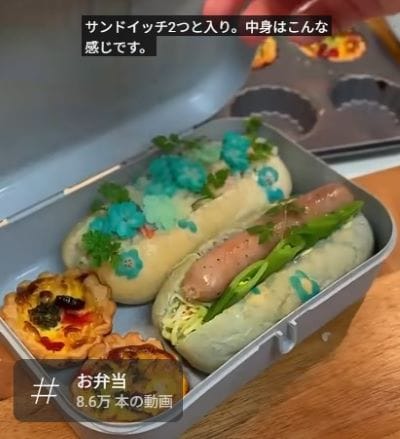 投稿動画のワンシーン