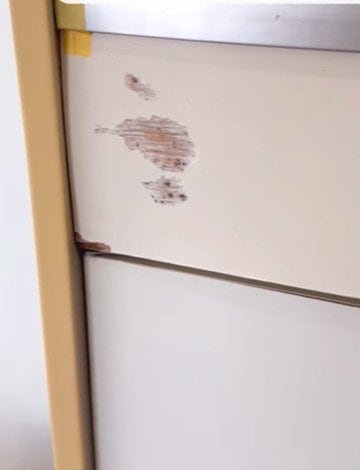 投稿の画像