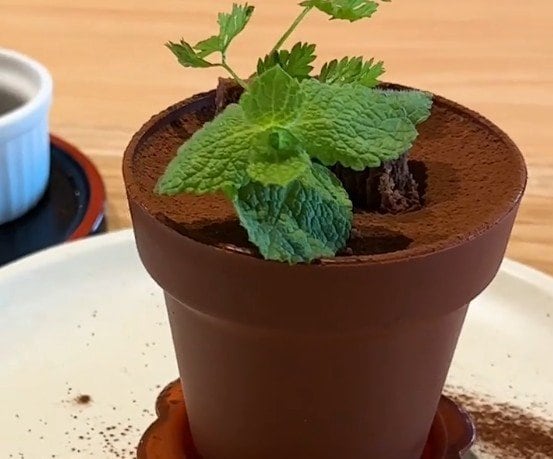 埼玉県の道の駅で話題の「鉢植えティラミス」！掘って食べる新感覚スイーツに「かわいすぎる」「ふわっふわ」