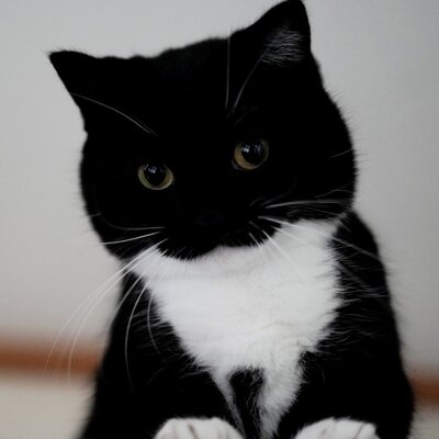 出所：@unicouniuni3