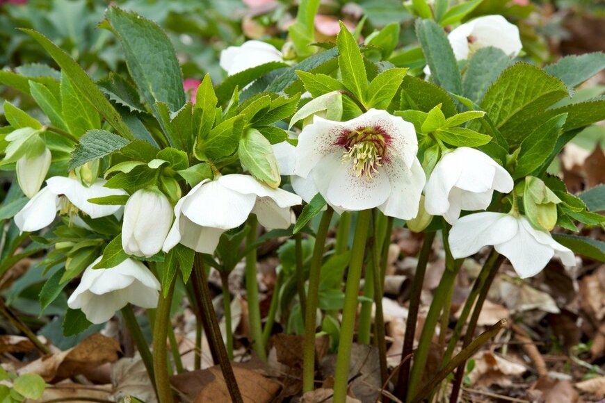 Billy_Fam/istockphoto.com