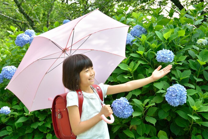 【節約術】貯蓄のためにやってよかった！効果抜群の6つの技とは