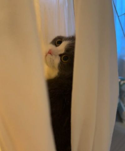 出所：@omochiomoching