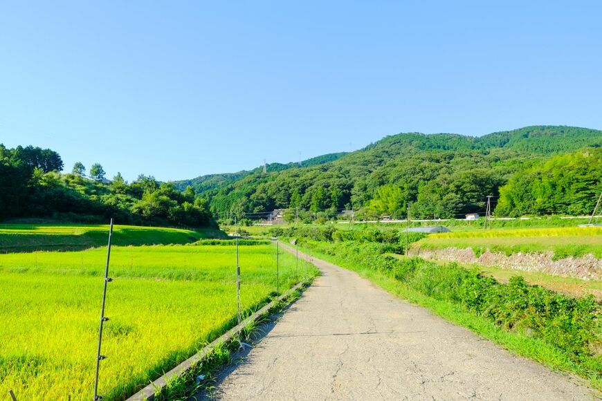 【神秘的】オニヤンマの羽化する姿　珍しい光景に「これは貴重」