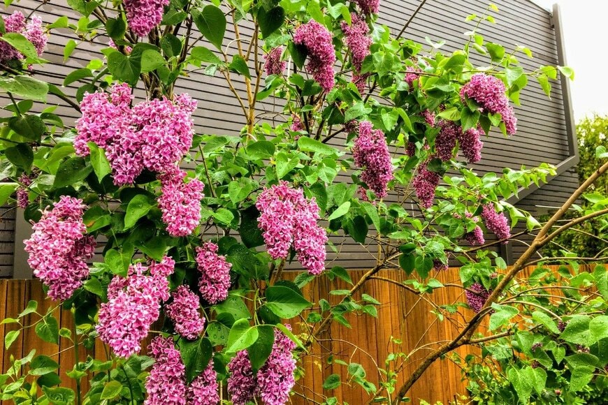 Chris Babcock/istockphoto.com