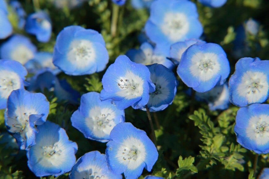 Makoto/istockphoto.com