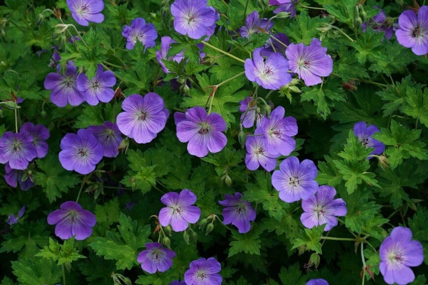 Drive film factory/shutterstock.com