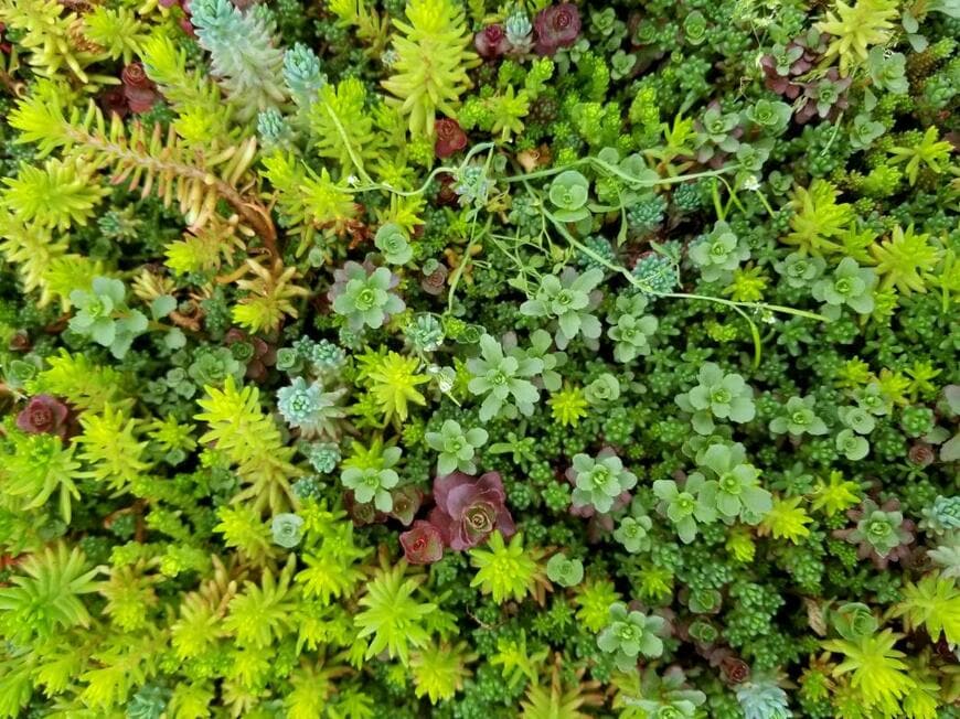 Khairil Azhar Junos/shutterstock.com