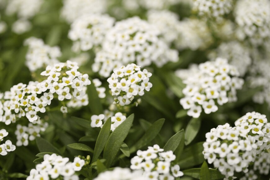 tamara_kulikova/istockphoto.com