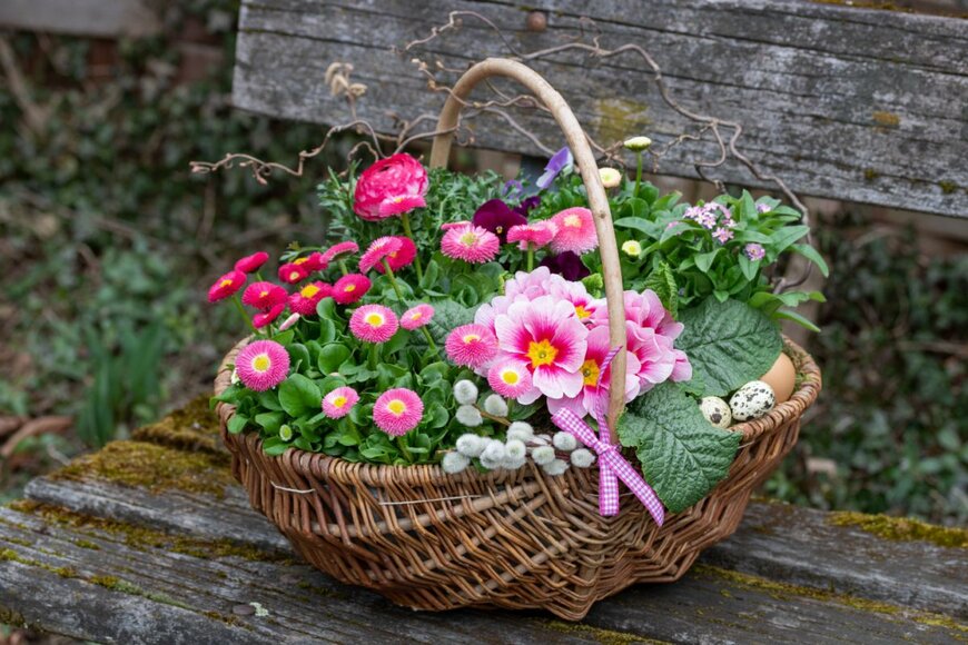 Natalia Greeske/shutterstock.com