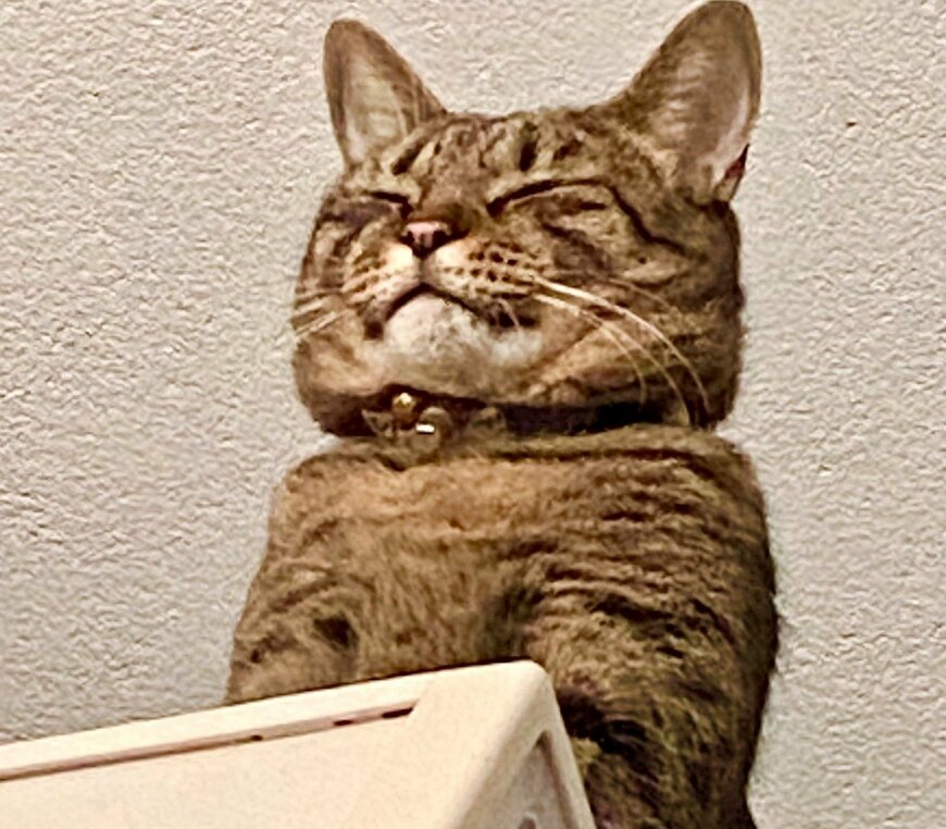 出所：@luna7taka9