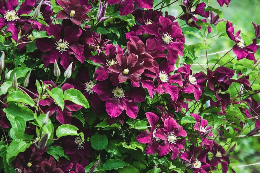 Nadya So/istockphoto.com