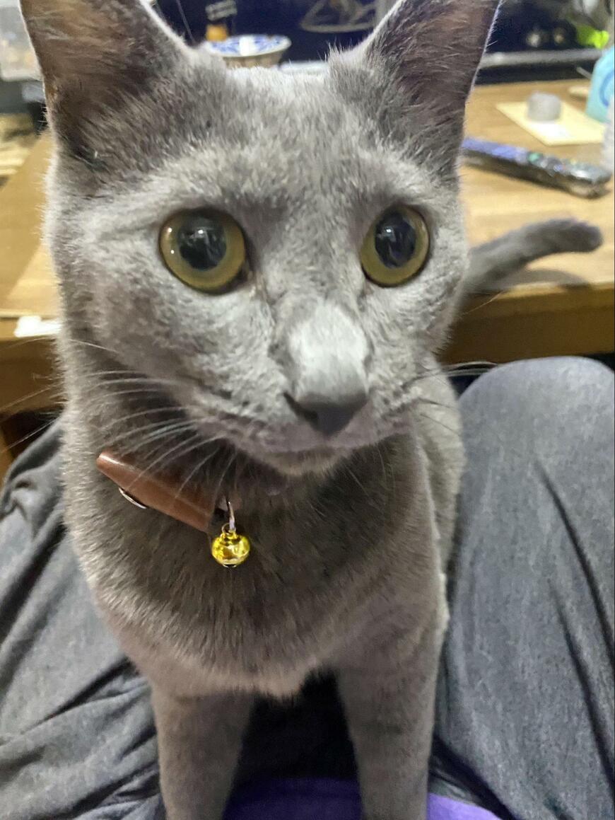 出所：@luna7taka9