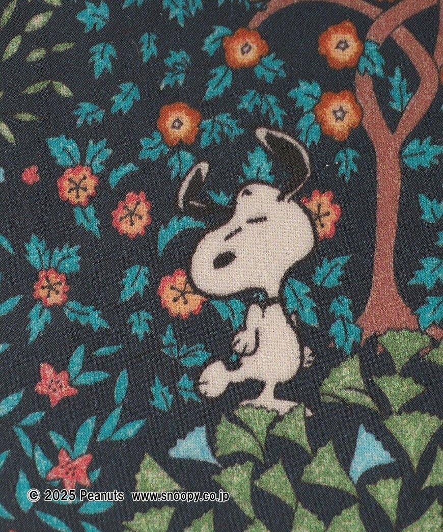 出所：アフタヌーンティー公式　バッグインバッグ/リバティプリント/PEANUTS