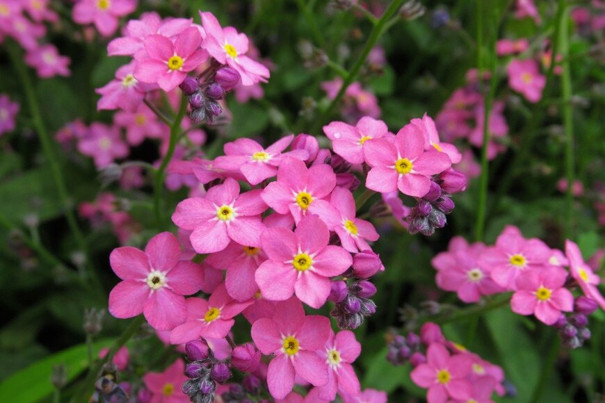 Annie Ho/istockphoto.com