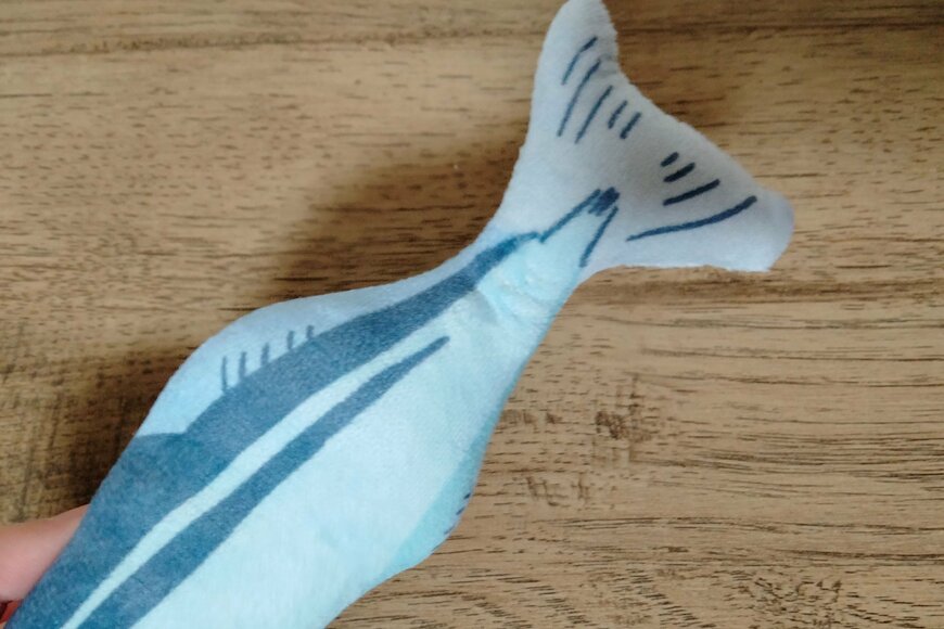 筆者撮影（セリア、またたび入りお魚クッション）