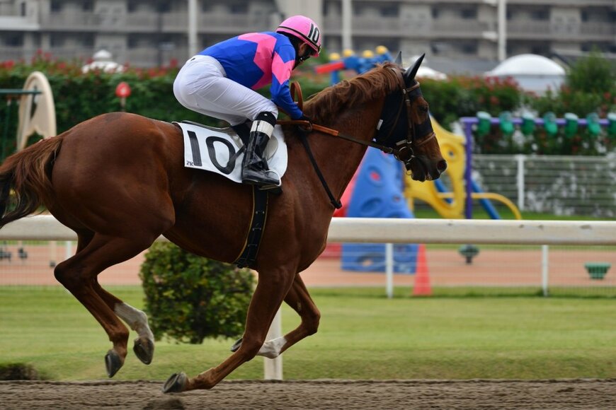 「今年の有馬記念参加者めちゃくちゃ増えそう」PayPay馬券購入解禁にSNSで大反響「神アプデ来た！」