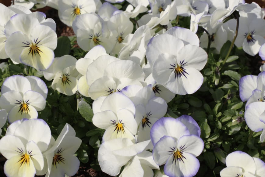 Teresa Design Room/shutterstock.com