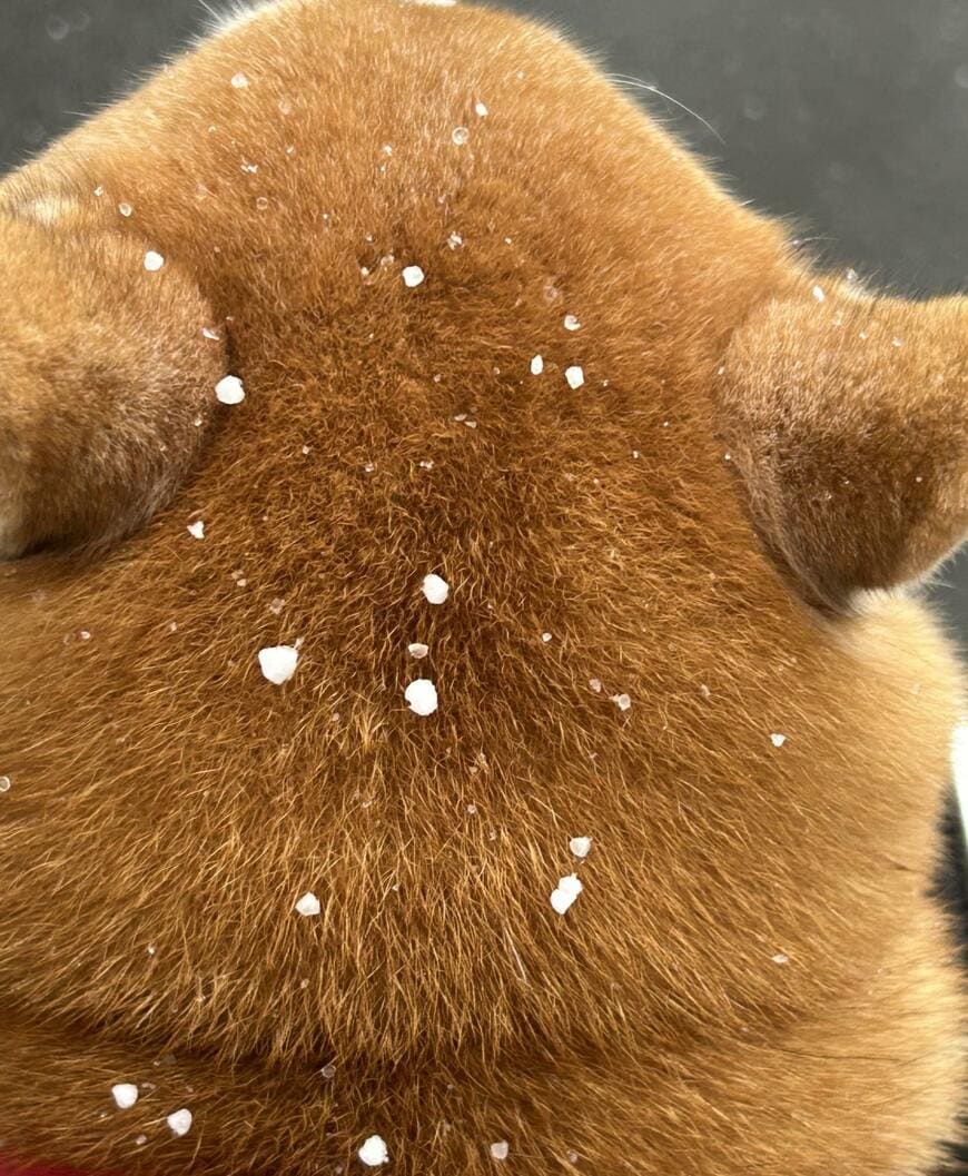 出所：@ichimaru425