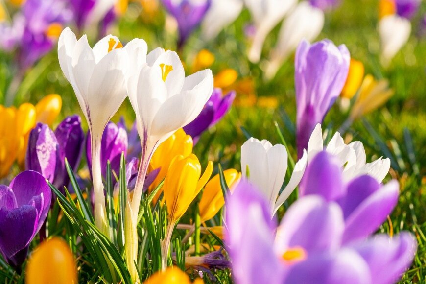 NatureNow/istockphoto.com