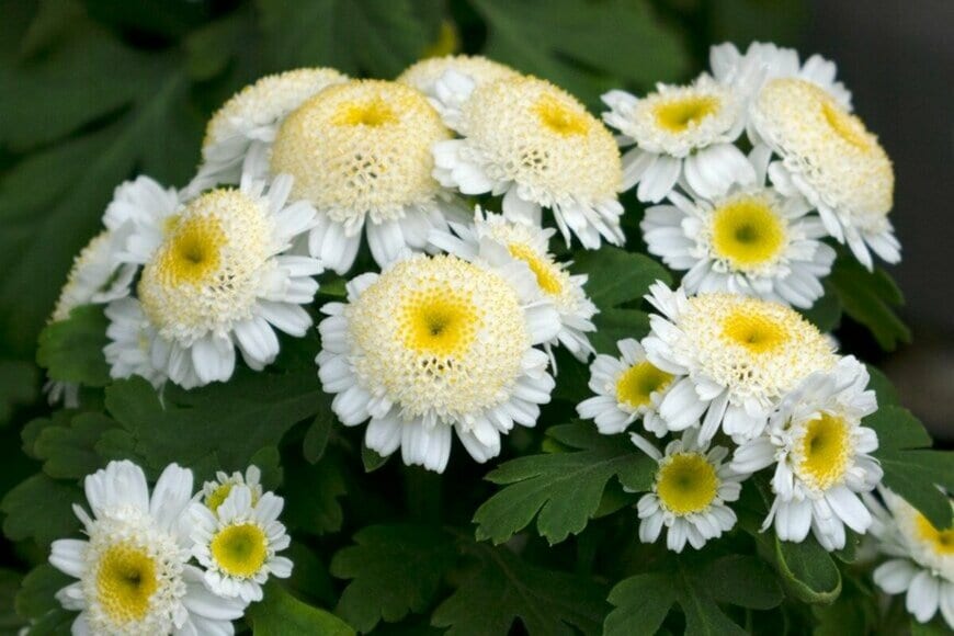 Orthosie/istockphoto.com