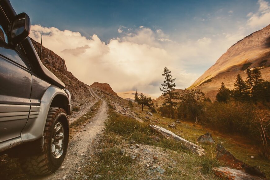 AnnaTamila/shutterstock.com