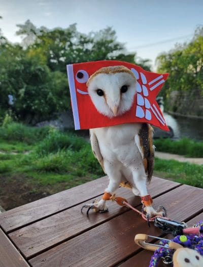 出所：@miki4wan108