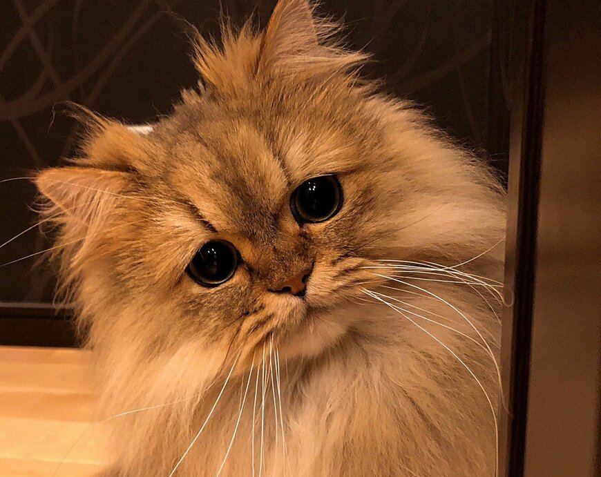 出所：@UphQepCv8J