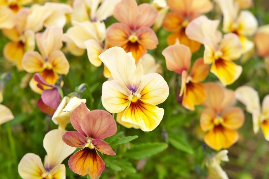 sundec88/istockphoto.com