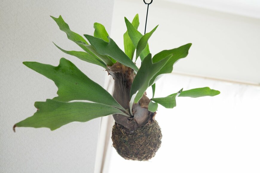 kragtbti/shutterstock.com