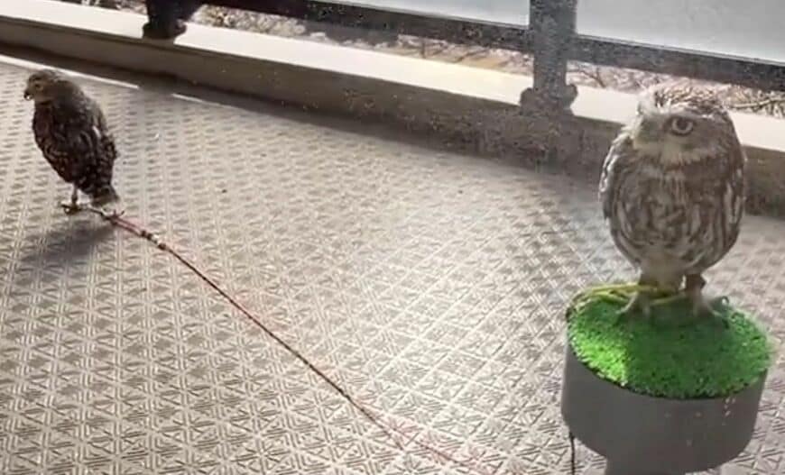 投稿動画のワンシーン