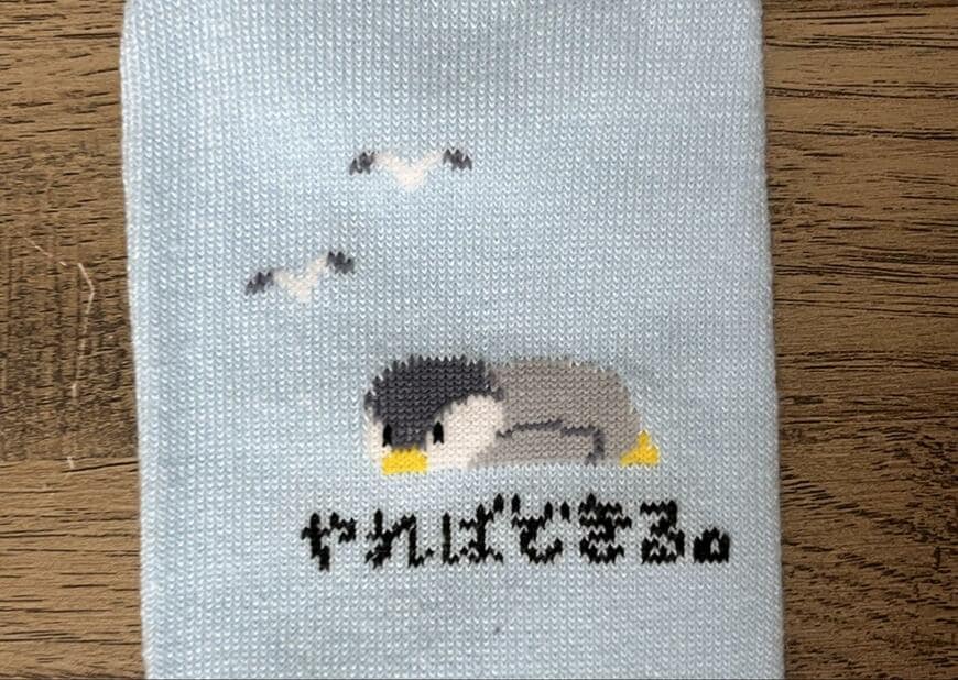 セリア、レディースショート丈 やればできる商品画像